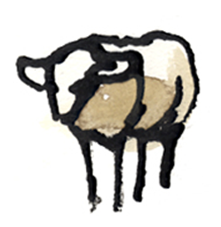 får, sheep, food, mad, artikler, årsrapport, illustration, illustrere, tegning, illustrator, håndtegning, digital, skitse, logo, vector, vektor, naturalistisk, naturtro, vignet, vignetter, præcision,