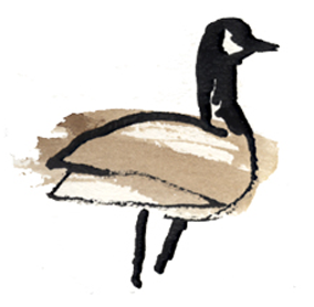 gås, goose, game, vildt, food, mad, artikler, årsrapport, illustration, illustrere, tegning, illustrator, håndtegning, digital, skitse, logo, vector, vektor, naturalistisk, naturtro, vignet, vignetter, præcision,